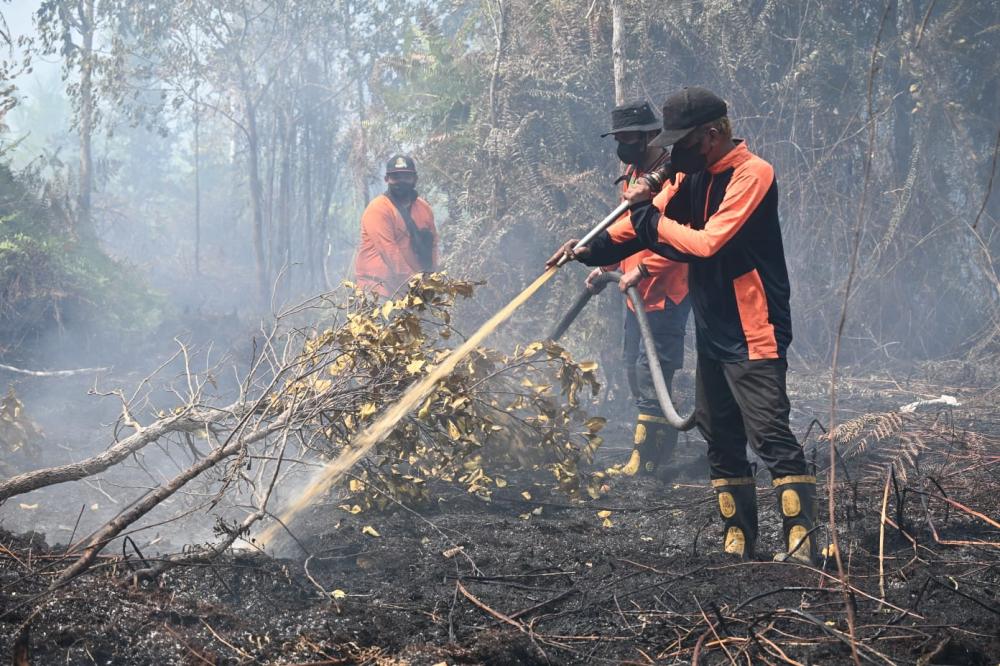 Karhutla Kalsel Tembus 794 Hektare, Banjarbaru Jadi Episentrum Kebakaran
