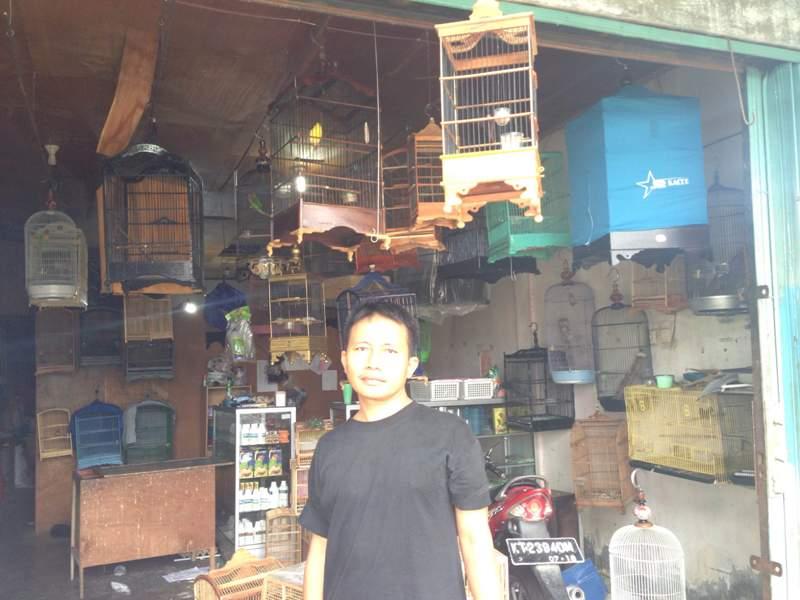 DARI HOBI, ALEX SUKSES BERBISNIS BURUNG KICAU