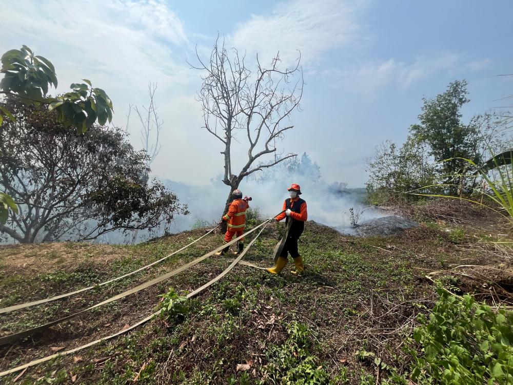 Diduga Dibakar Saat Cuaca Terik, Karhutla Hanguskan 0,54 Hektare di Kutim