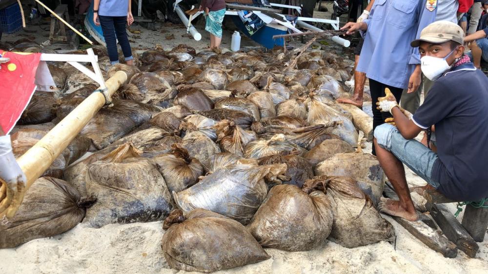 Pecinta Lingkungan Bahu Membahu Bersihkan Minyak di Pantai Klandasan