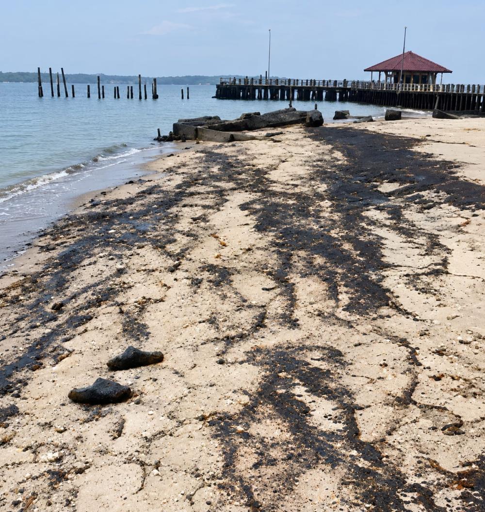 Viral! Pantai Beras Basah Bontang Tercemar Tumpahan Mirip Oli, DLH Belum Bersuara