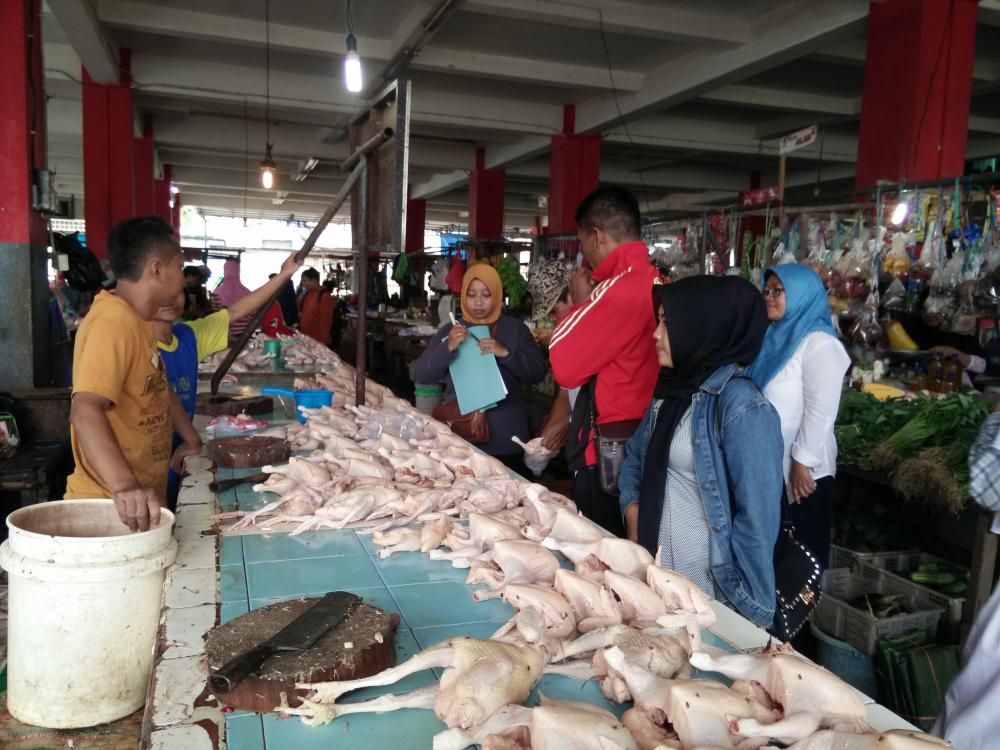 Lakukan Indentifikasi, DKP3 Bontang Pastikan Daging di Pasar Sehat Konsumsi