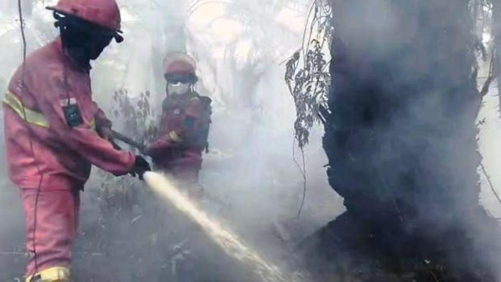 Cuaca Kalimantan Jumat: Kalteng Hujan, Kaltim dan Kalsel Udara Kabur 