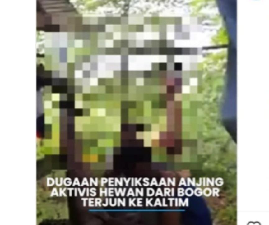DPR RI Desak Penyiksa Anjing di Kaltim Ditangkap!