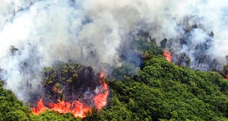 Kaltim Masuk Musim Kemarau, Titik Panas Meningkat di Kutim dan Berau