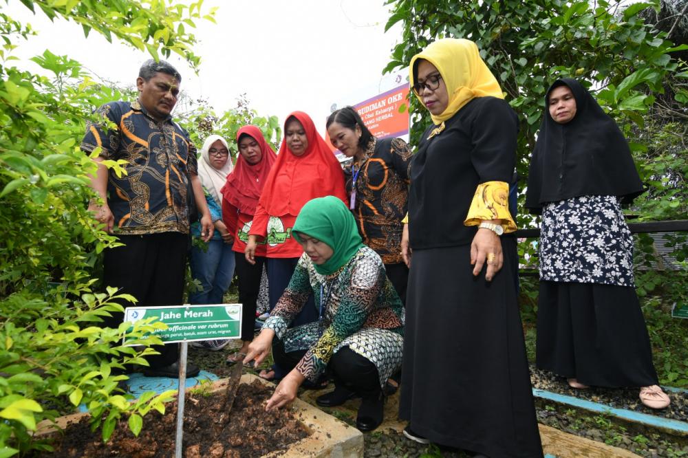 PT Pupuk Kaltim Beri Pelatihan Penanaman Jahe Kepada Kelompok Toga