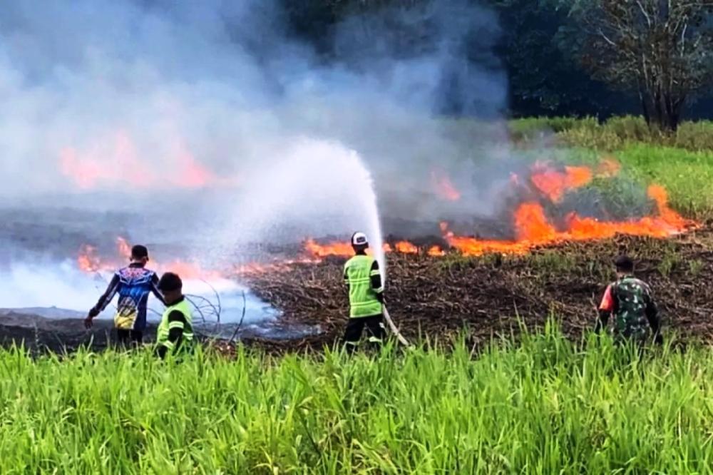 5 Daerah di Kaltim Masuk Zona Rawan Karhutla 