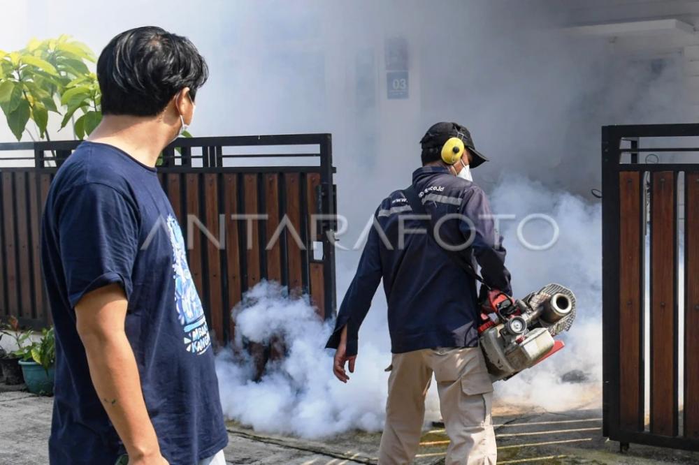 DBD di Kaltim Tembus 1.567 Kasus, Yuk Gencarkan 3 M