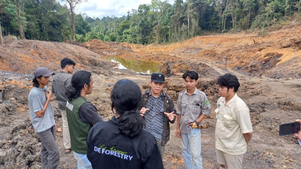 Senator Henock Soroti Bebasnya Tersangka Tambang Hutan Unmul: Jangan Cari Kambinghitam