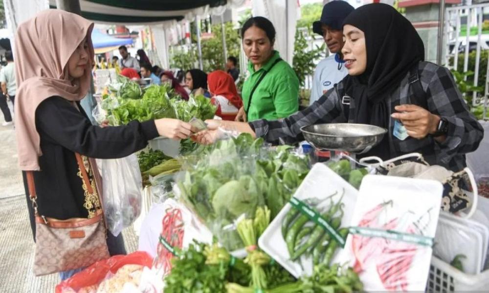 Harga Pangan Katanya Terkendali, Cabai Kaltim Justru Makin Pedas