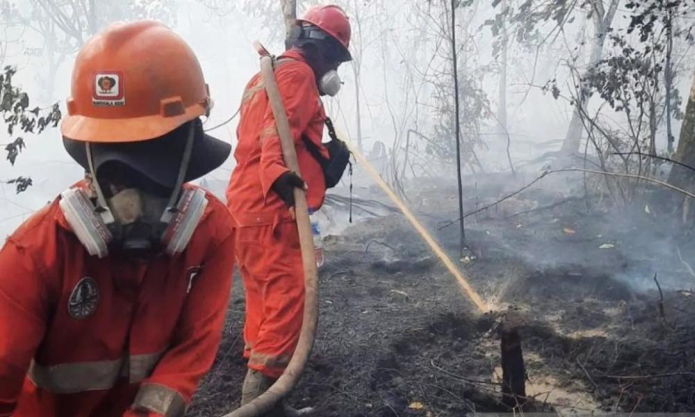 Karhutla Merebak di Penajam, Dua Hari Tembus 14 Kasus 