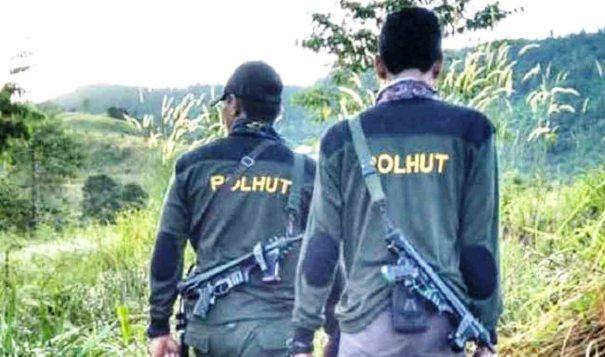 Tambang Ilegal Marak, Kaltim Kurang Polhut 