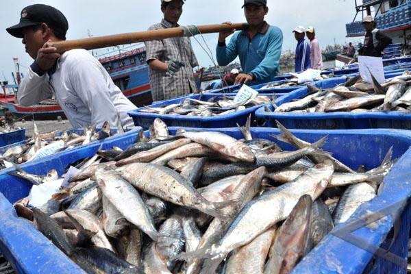 Zemmy Hazs : Untuk Mensuport Pabrik Pengalengan Ikan, Harus Kuat dari Sektor Maritim