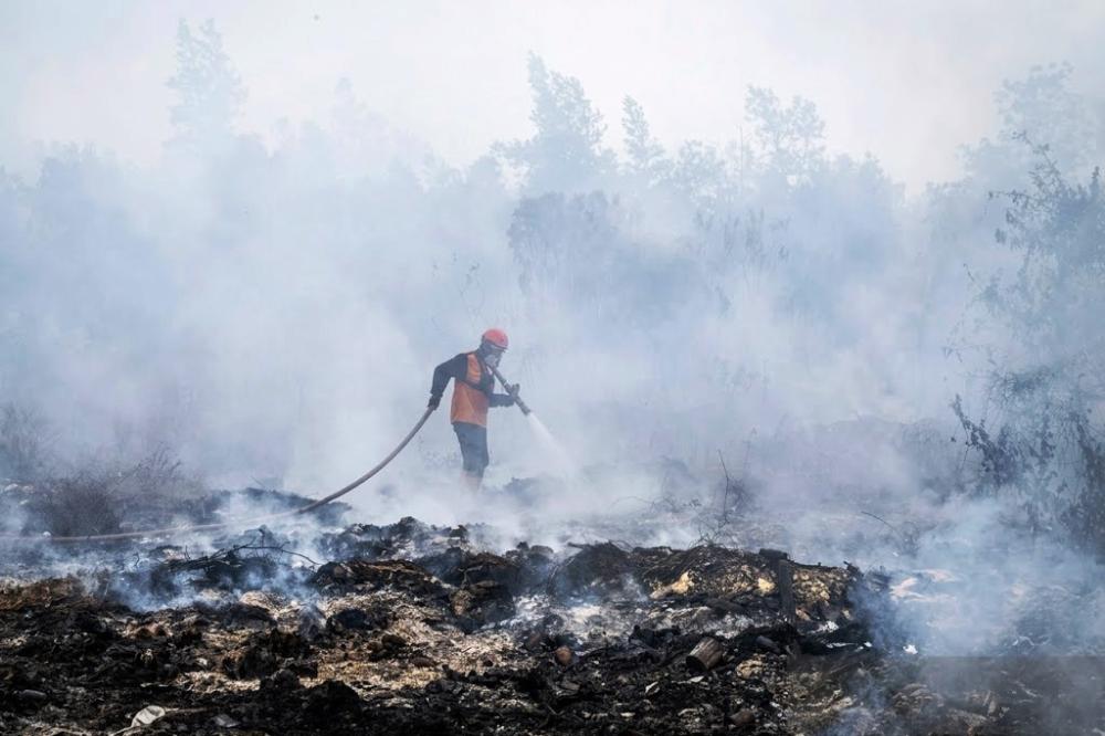 Satu Dekade Persetujuan Paris, Karhutla Kalimantan Masih Membara: Siapa Harus Bertanggung Jawab?
