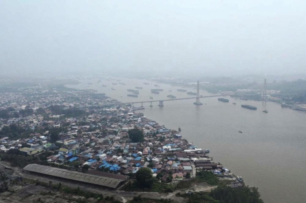 Ketika kabut asap mengubah cahaya matahari bagi tanaman