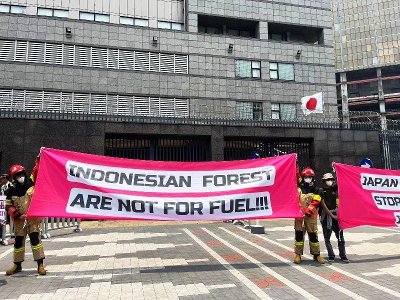 Aktivis Kepung Kedubes Jepang dan Korsel: Setop Deforestasi Akibat Ekspor Wood Pellet Indonesia