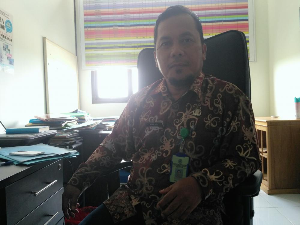 DKP3 Bontang Sarankan Sapi Produktif Jangan Dipotong