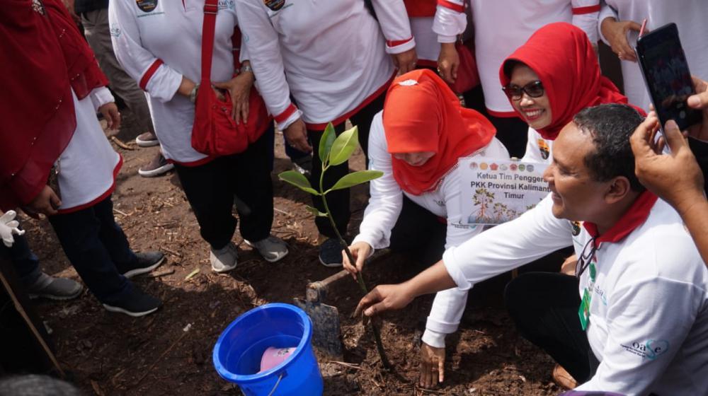 Industri dan Pemukiman Warga Jadi Faktor Penyebab Kerusakan Mangrove