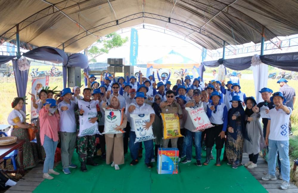 Dorong Kemandirian Petani, Program Makmur Pupuk Kaltim Dongkrak Hasil Padi Pinrang hingga 9,1 Ton Pe