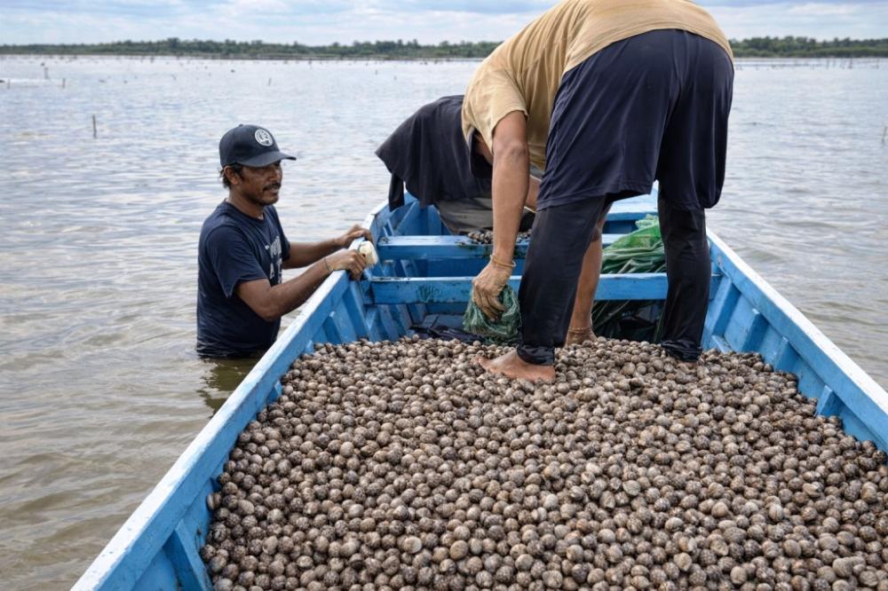 Potongan Nyaris Rp1 M, Pengurus Nelayan Muara Badak Tolak Buka Rincian
