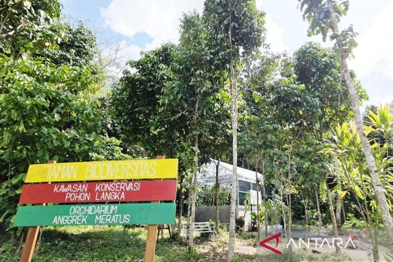 Orchidarium Meratus Hadir di Banjar: Dosen ULM Bangun Taman Anggrek Khas Pegunungan