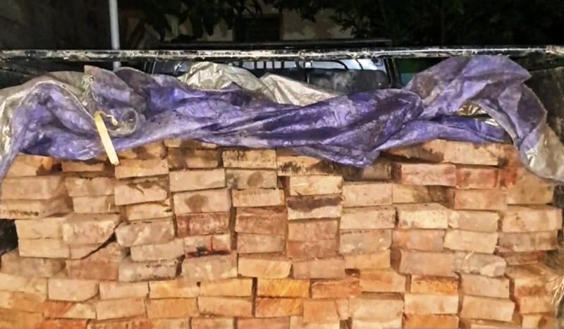 Polhut Tangkap Pedagang Ulin Ilegal di Kutai Timur