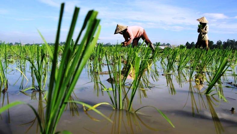 Kaltim Genjot Transisi Tambang Ramah Lingkungan, Rancang Dua Perda Baru