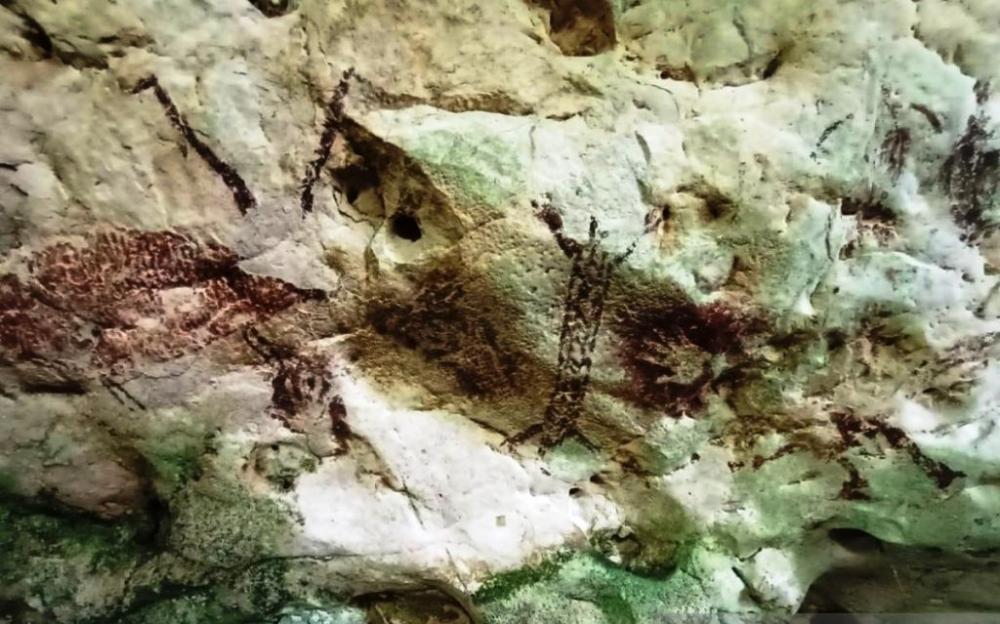 Sangkulirang–Mangkalihat, Warisan Karst 1,8 Juta Hektare yang Menuju Pengakuan Geopark Dunia
