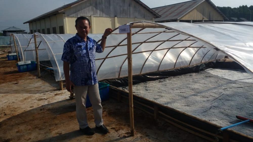 Dewan Apresiasi DKP3 Bontang Atas Panen Perdana Garam Rakyat Sistem Tunnel