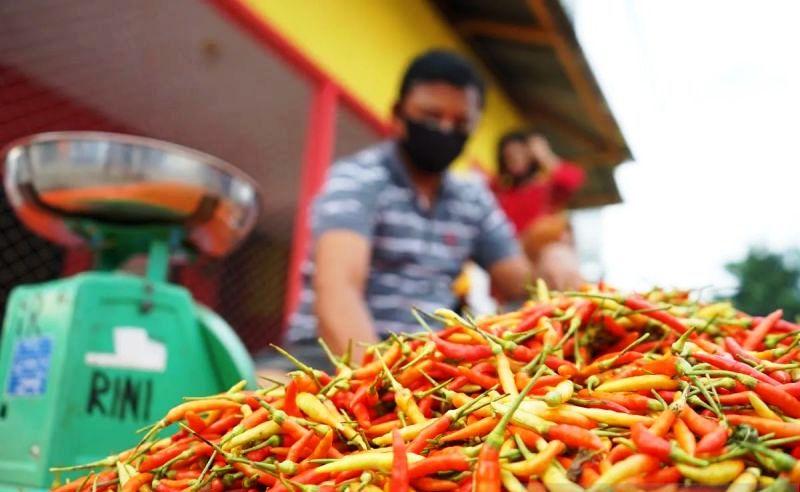 Harga Cabai Masih Pedas, Tembus Rp74 Ribu per Kilo