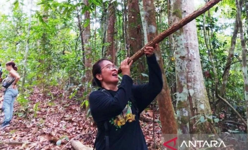 Yuliana Wetuq dan Pertaruhan Sunyi Menjaga Hutan Wehea