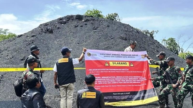 Hamparan 70 Ribu Ton Batu Bara Ilegal di Kaltim, Disita Negara