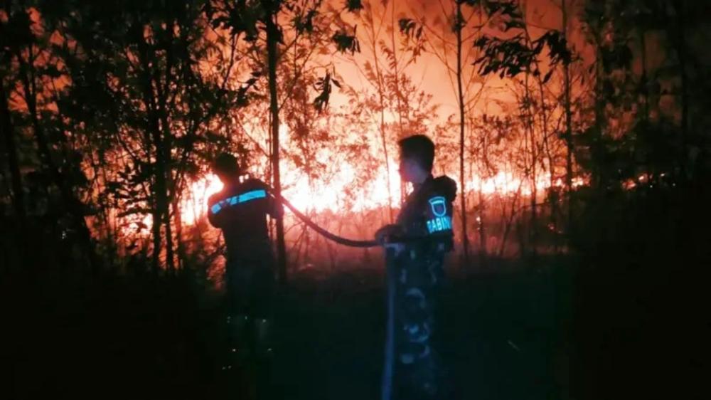 Di Balik Ganasnya Karhutla Kalsel, Ada 3.219 Hotspot dan Jejak Kebakaran Berulang