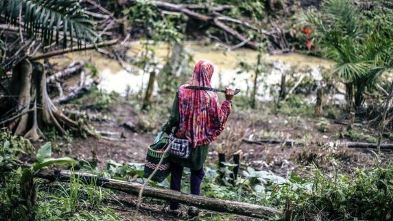 Ketika Hutan Pergi, Hidup Pun Berubah: Kisah Suku Balik di Tengah Bayang IKN