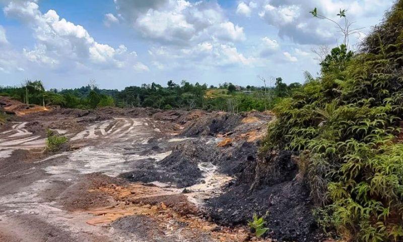 OIKN Kencangkan Pengawasan: Tahura Bukit Soeharto Dibanjiri Aktivitas Ilegal