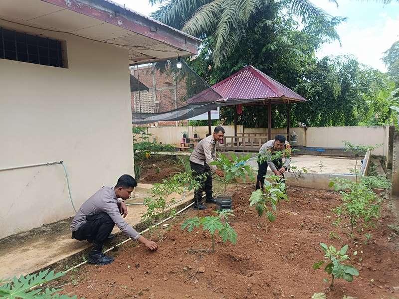 Polisi Tak Melulu Garang, Di Batu Engau Tanam Sayur Dukung Ketahanan Pangan