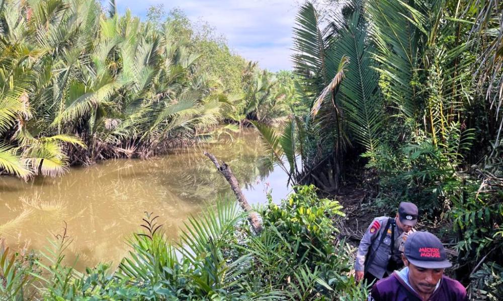 Asyik Jala Udang, Warga Paser Diduga Diterkam Buaya di Sungai Sangkuranai