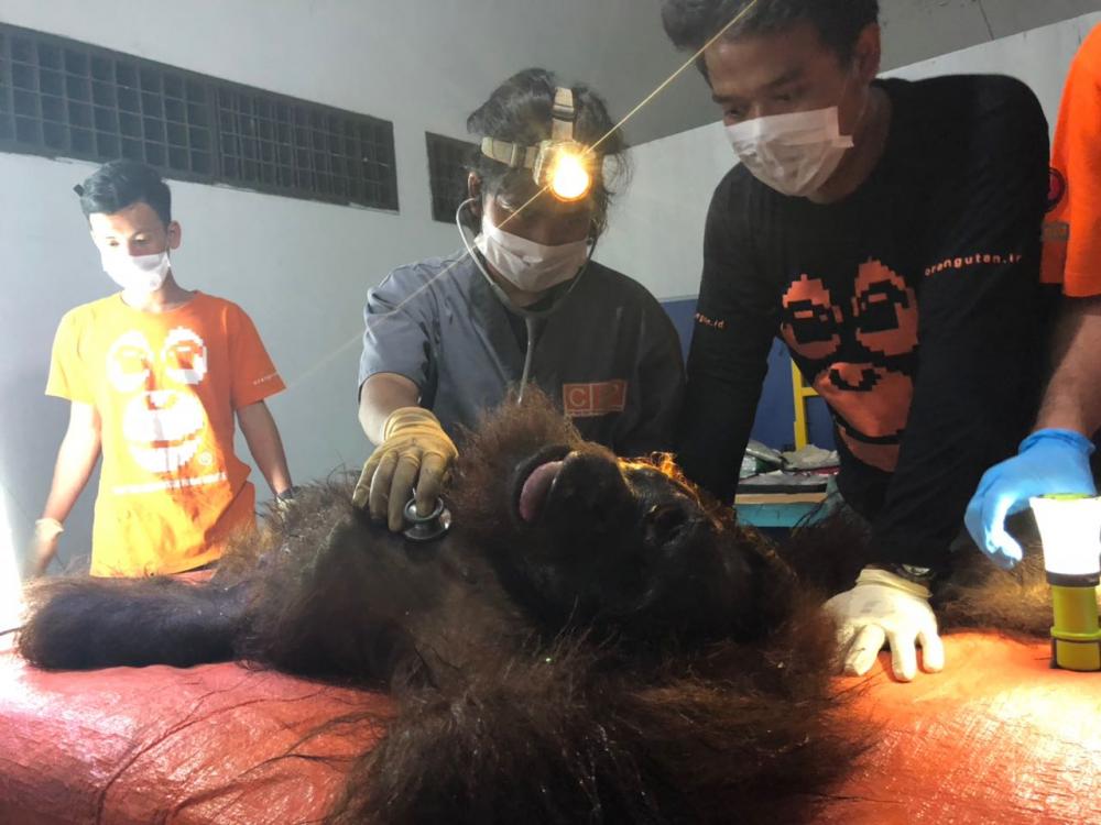 Menyayat Hati, COP Sebut Kematian Kaluhara 2 Masuk Rekor Dunia