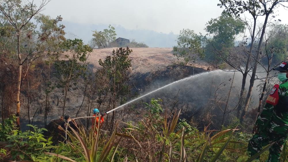 Karhutla Bontang Lestari Meluas hingga 15 Hektare, Api Mendekati Kawasan PT Badak LNG