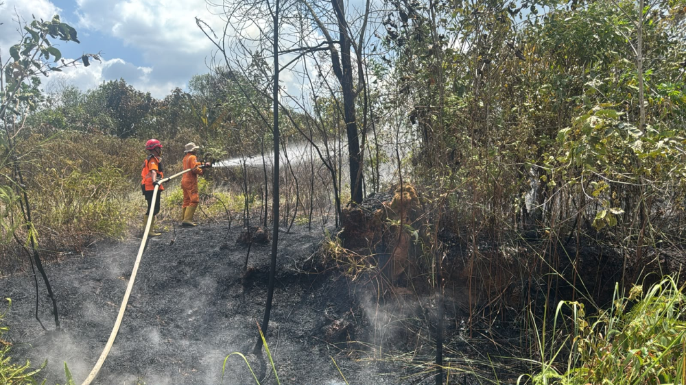Karhutla Mengintai Bontang, Lahan Kosong Jadi Titik Rawan, Pembakar Terancam Sanksi