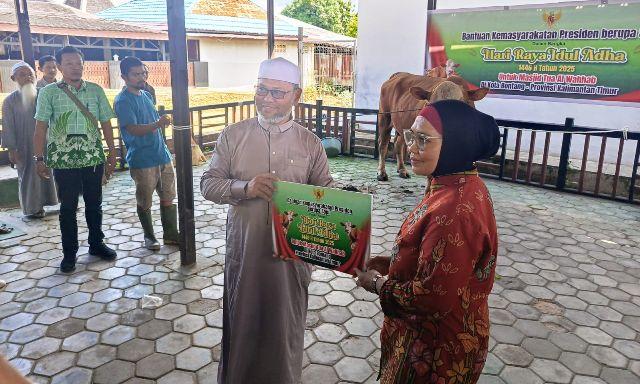 Perdana, Presiden Bantu Sapi Kurban ke Bontang