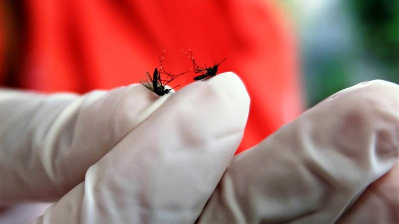 DD dan DBD Bontang Turun, Waspada Hujan Tinggi