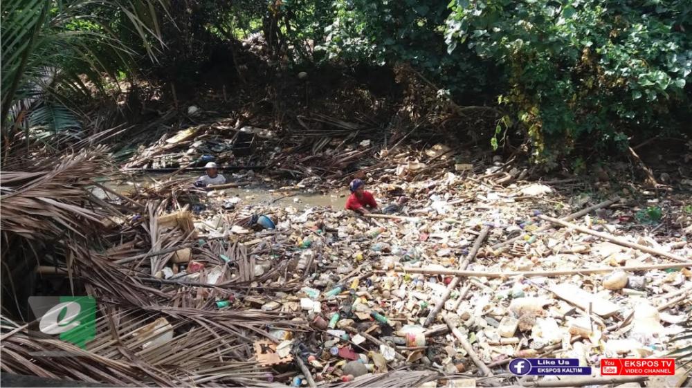Gegara Sampah Numpuk, Buaya â€˜Hantuiâ€™ Warga di Bantaran Sungai Ini
