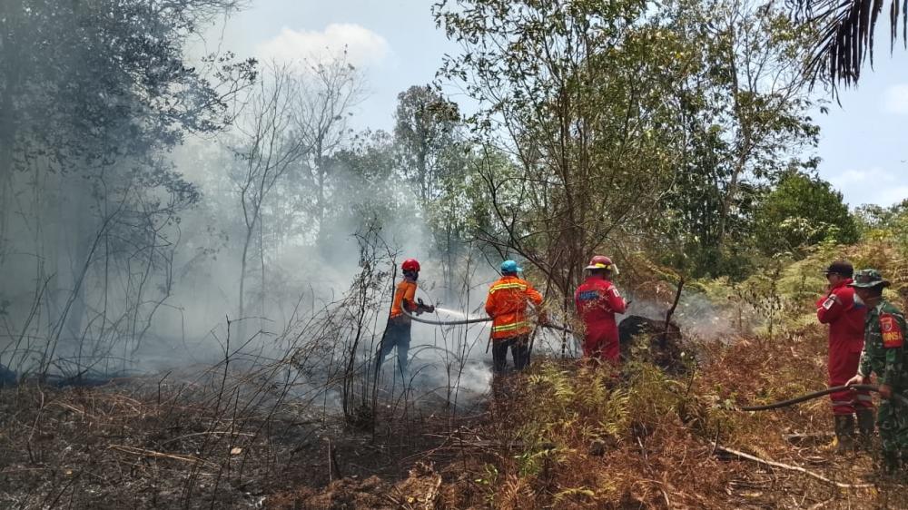 6,4 Hektare Semak dan Kebun Sawit di Nyerakat Kiri Bontang Terbakar, Pemadaman Butuh 3 Jam