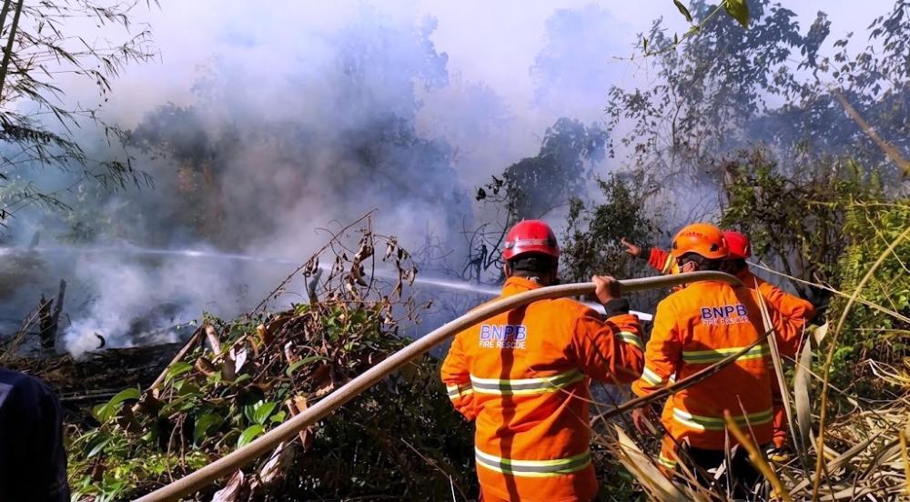 Mengapa Hutan Kaltim Mudah Terbakar? Akademisi Unmul: Bukan Cuaca Semata