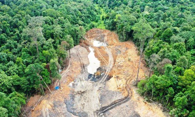 Reaksi Kapolda Kaltim Hutan Unmul Dijarah Tambang