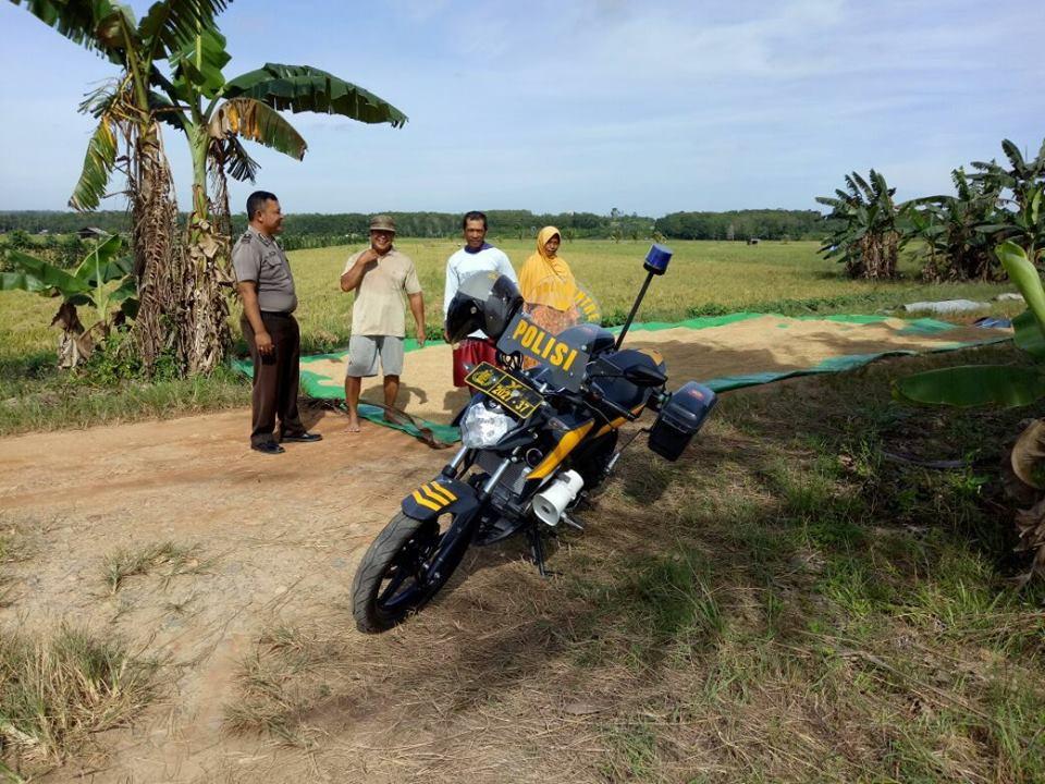 Memasuki Musim Panen, Polsek Marangkayu Himbau Hasil Panen Disimpan di Rumah