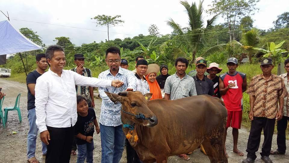 Anggota DPRD Kaltim Fasilitasi 14 Ekor Sapi ke Masyarakat Kukar