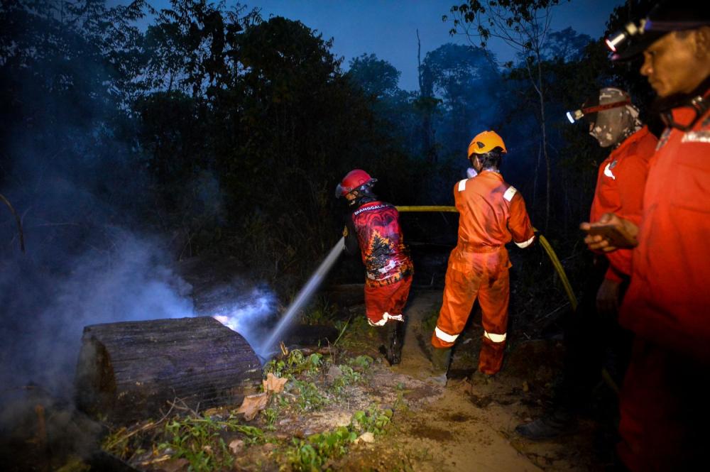 Karhutla Labanan Belum Padam, Skenario Evakuasi Orangutan Ambon Disiapkan
