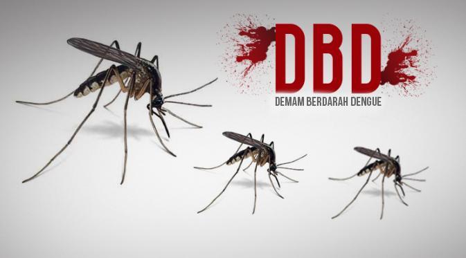 Ngeri, Penderita DBD di Bontang Capai 754 Jiwa dalam 2 Tahun